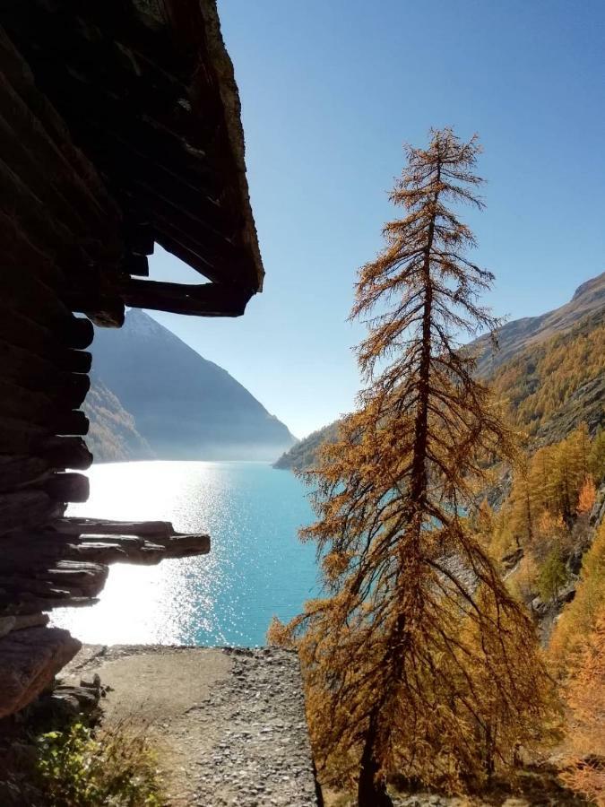 Appartamenti Luseney Bionaz Exterior foto